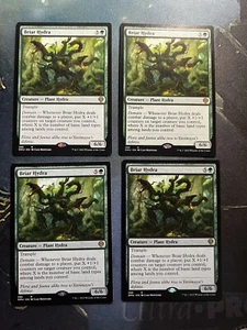 4_BRIAR HYDRA, MTG Dominaria United, NM/Nicht bespielt. Set - Bild 1 von 2