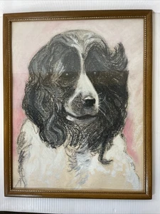 "Arte original de colección dibujo tiza pastel Spaniel Collie perro enmarcado 14,75"" x 11,75""" - Imagen 1 de 15
