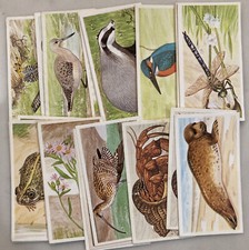A Journey Downsteam - Brooke Bond Tea Cards - Pick Your Cards