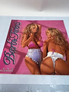 1993 Barbi Twins Shane and Sia Pin Up Bikini Calendar 12x12" - Picture 1 of 9