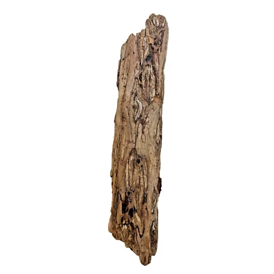 Natural Driftwood  14x3.5 Solid Dense Natural Wood Terrarium Aquascaping Decor - Image 1 of 4