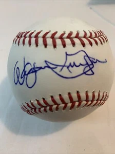 Tarjetas Wayne Granger 68 Campeones de la Liga Nacional OMLB bola automática MLB HZ309786 Rojos Yankees gemelos - Imagen 1 de 2