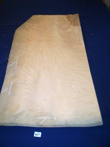 Chapa racimo fresno 780 x 380 mm 7 hojas nº 867 - Imagen 1 de 5