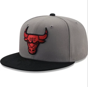 Chicago Bulls Hat Snapback Adjustable Cap Grey with red Logo , special edition - Picture 1 of 2