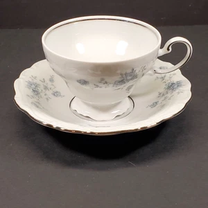 Johann Haviland Blue Garland Bavaria Germany Footed Teacup and Saucer Vintage - Picture 1 of 10
