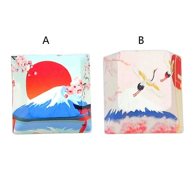 1 Pack PBT Keycap Mount / Crane Cherry R4 for Creative Dip Dye Mechanical Keycap - Image 1 of 4