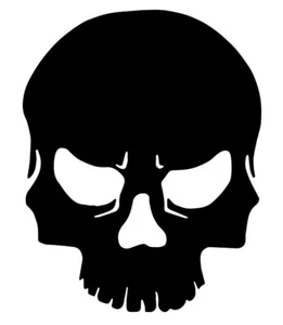 Skull Sticker - Specialty Material Skull Decal - Picture 1 of 17