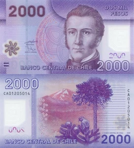 Chile 2000 Pesos (2009) - Nalcas National Reserve/Polymer p-162a, B297c UNC - Picture 1 of 3