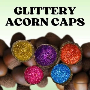 GLITTERED ACORN Caps, 12 pcs for Wedding decor, Xmas wreaths, FREE BONUS GUIDE - Picture 1 of 14