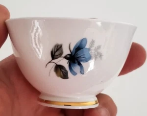 Delphine Bone China Tea Cup England Blue Floral Gold Trim RARE - Picture 1 of 7