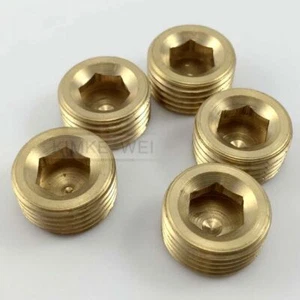 5pcs 1/2"NPT Brass Internal Thread Socket Pipe Plug - Afbeelding 1 van 1