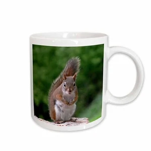 3dRose Red Squirrel with Attitude Mug - Picture 1 of 14
