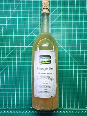 Anguilas de vinagre 25,4 onzas listas para alimentar alimentos vivos para peces fritos Foto 1 de 3