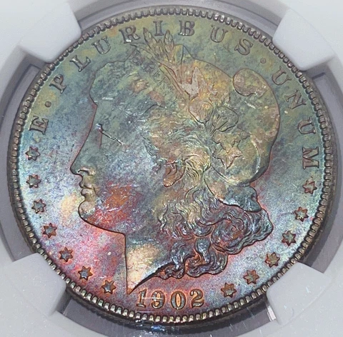 1902-O NGC MS65 Morgan Silver Dollar Monster Toned Gem 228004 Cover