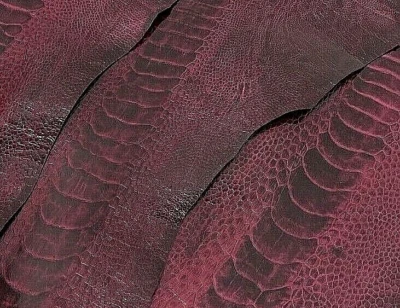 5 Ostrich legs Leather Wine GL Color G.B (%100 Natural Genuine Hide)  - Image 1 of 4