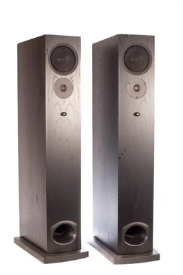 Linn Espek Floorstanding Speakers black ash Finish - Immagine 1 di 4