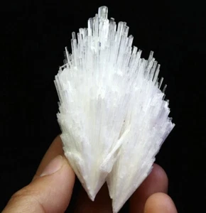 Natürliches Original Scolecit Spray Formation Quarz Kristall Mineral Probe - Bild 1 von 12
