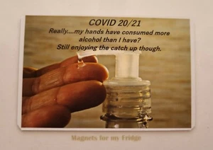 FUNNY HUMOROUS PANDAMIC QUOTE FRIDGE MAGNET - M856 F - Picture 1 of 1