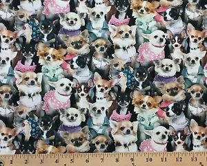 Baumwolle Best Friend Chihuahuas Hunde Baumwollstoff Druck Meterware D759.64 - Bild 1 von 1