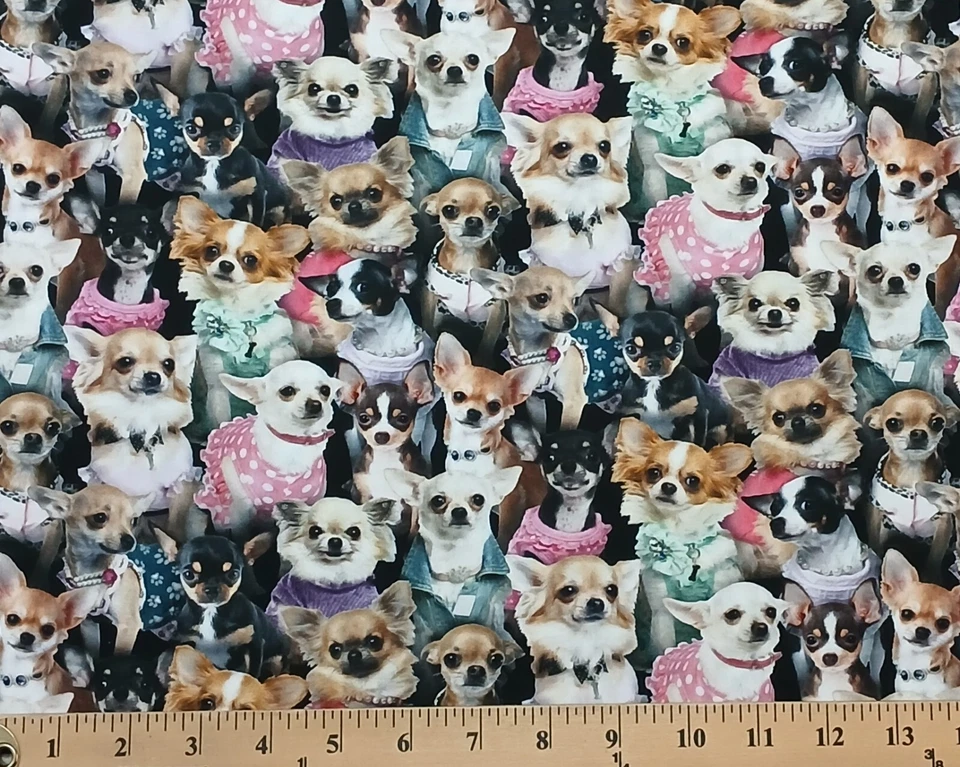 Algodón Best Friend Chihuahuas Perros Tela Algodón Estampado por Yarda D759.64 Foto 1 de 1