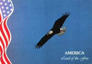 Eagle Flying America Land of the Free Patriotic Vintage Postcard Unposted - Bild 1 von 2