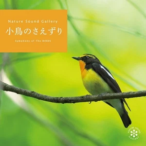 CD SYMPHONY OF THE BIRDS Japan Nature Sound Gallery (Natural Sounds) Music Album - Picture 1 of 1