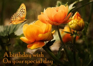 WEIBLICHE DAMEN HAPPY BIRTHDAY GRUSSKARTE SCHÖNE BLUME ROSEN & SCHMETTERLING - Bild 1 von 1