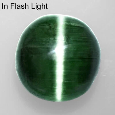 Natural Deep Green Tourmaline Cats Eye Round Cabochon 5.34 Cts Brazil Gemstone - Image 1 of 3