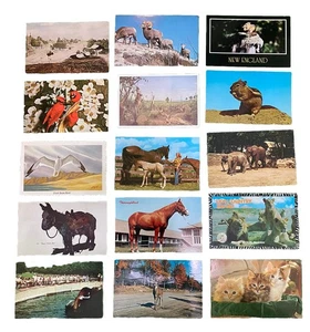 Collezione di 30 cartoline d'epoca ft. Animali Cavallo Leone Uccellino Zebra Giraffa - Foto 1 di 4