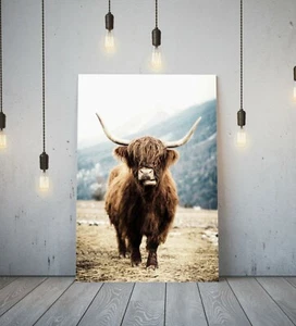 HIGHLAND COW - DEEP FRAMED CANVAS WALL ART PICTURE PRINT- BROWN ANIMAL - Picture 1 of 12