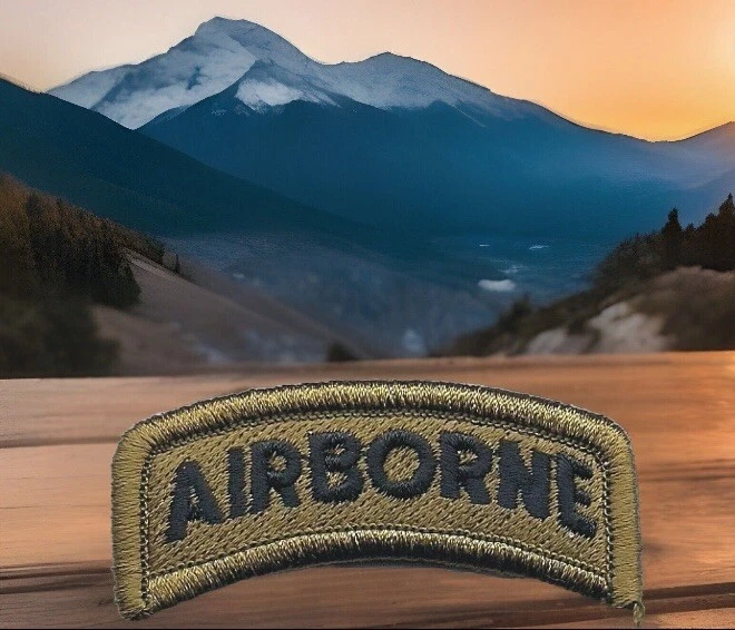 Brown Black 101st Airborne Division Tab Patch VELCRO® BRAND Hook Side Only - Image 1 of 4