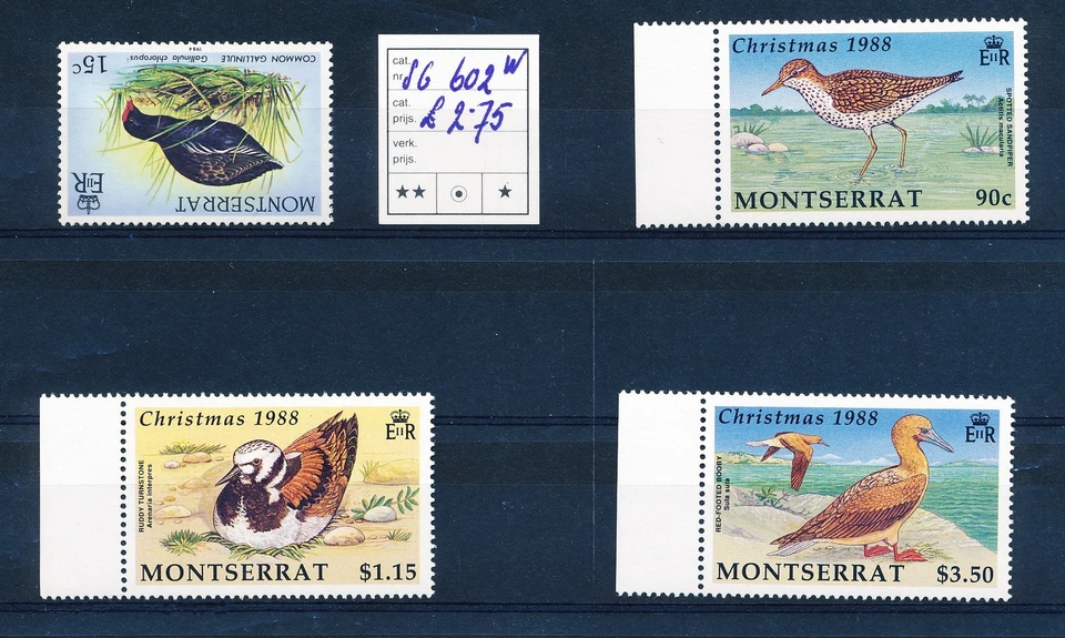LS65655 Montserrat 1988 christmas fauna nature birds fine lot MNH - Image 1 of 1