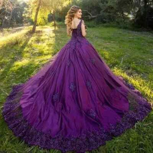 Purple Lace Wedding Dresses Sleeveless Chapel Train Beaded Lace Up Bridal Gowns - Picture 1 of 8