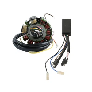 Magneto Stator Coil & CDI Box Module Fit For Polaris Sportsman 500 1998-2000 99 - Bild 1 von 8