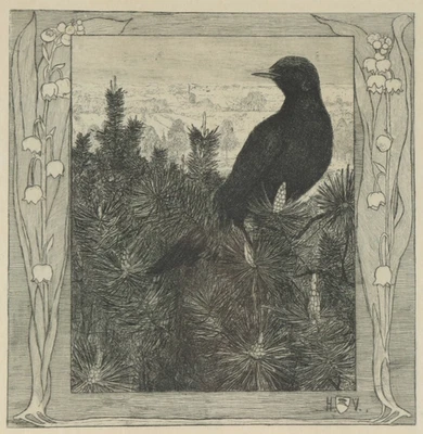 HEINRICH VOGELER Tannenzweige mit Amsel Jugendstil Radierung art nouveau etching - Bild 1 von 4