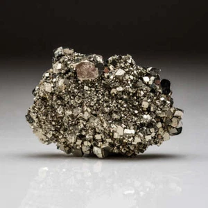 Pyrit aus der Mine Niccioleta, Massa Marittima, Provinz Crosetto, Toskana Italien - Bild 1 von 6