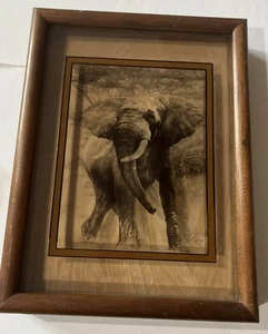 DENNIS CURRY Wildlife Elephant Lucid Lines Production Original Etching on Glass - Picture 1 of 17