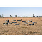 AVERY GHG PRO-GRADE WINDSOCK DECOYS - CANADA GOOSE WITH PAINTED HEADS