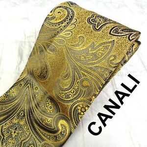 NEW NWOT CANALI Italy Men's 100% Silk Neck Tie Lovely Glossy Gold Silver Paisley