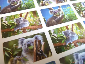 Koala Bear Wildlife Jungle Animal Self-Adhesive Labels Stickers for Kids & Craft - Picture 1 of 5