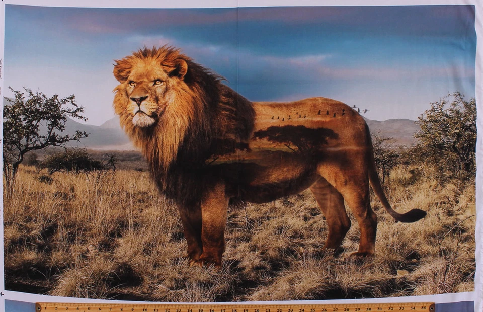 27.25" X 44" Panel León Animal Safari Salvaje Escénico Digital Tela de Algodón D371.35 Foto 1 de 1