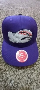 WINSTON-SALEM DASH MINOR LEAGUE BASEBALL CAP, ADJUSTABLE - Picture 1 of 3