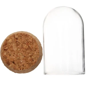 Glass Display Dome with Base for Displaying Artifacts and Decor - Picture 1 of 10