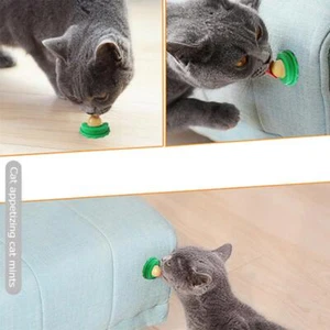 Gato Catnip Lamiendo Caramelo Azúcar para Gatito Digestión Nutrición Bola Energética Snack - Imagen 1 de 5