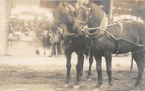 F42/ Occupational RPPC Postcard c1910 Hardware Store Horse Team 24 - Picture 1 of 4