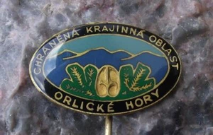 Antigua insignia alfiler de parque nacional protegida Orlicke Hory Bohemia montañas águila - Imagen 1 de 2