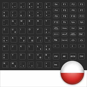 KEYBOARD STICKER POLISH ALL BUTTONS BLACK NOTEBOOK KEYSTICK BLACK POLAND - Picture 1 of 1