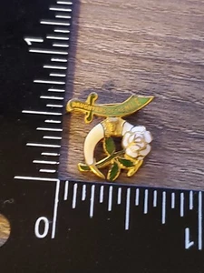 MASON SHRINE - DAUGHTERS OF THE NILE  GOLD TONE & ENAMEL PIN qe - Picture 1 of 2