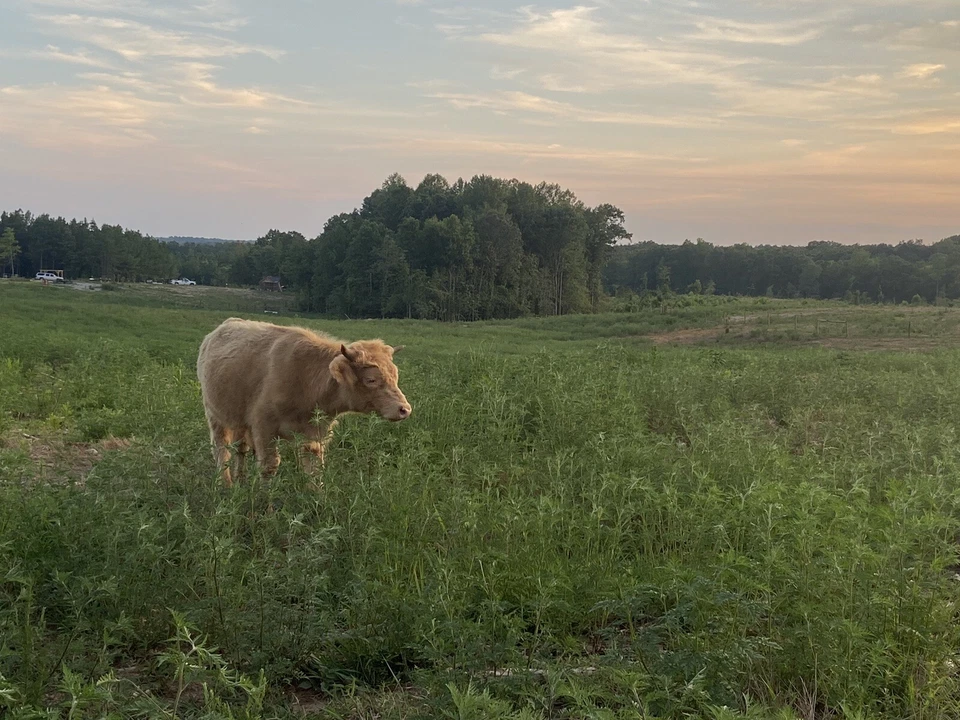 Can-Am 2018 Maverick Trail 1000 Maverick Trail 800R Fuel Tank 709000815 New OEM  - Изображение 1 из 1