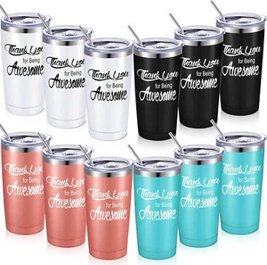 Employee Appreciation Gifts 20 Oz Thank You for Being Awesome Tumbler with Lid S - Picture 1 of 6